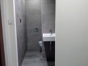 Pronájem bytu 1+1, Frýdek-Místek, Mozartova, 35 m2