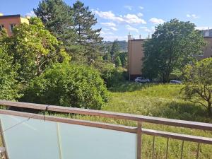 Prodej bytu 2+1, Brno, Neumannova, 60 m2