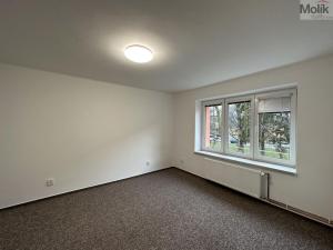 Pronájem bytu 2+1, Duchcov, Malinovského, 55 m2