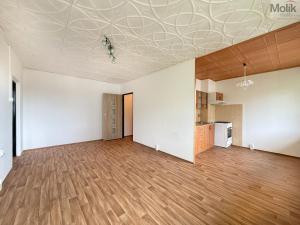 Pronájem bytu 2+1, Osek, Hrdlovská, 63 m2