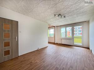 Pronájem bytu 2+1, Osek, Hrdlovská, 63 m2