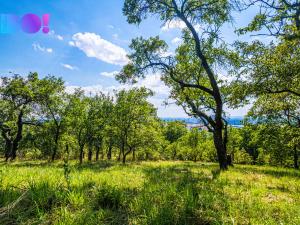 Prodej zahrady, Samotišky, 2632 m2