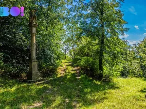 Prodej zahrady, Samotišky, 2632 m2