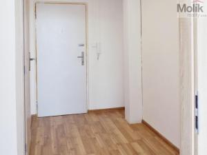 Prodej bytu 2+kk, Teplice - Trnovany, Trnovanská, 47 m2