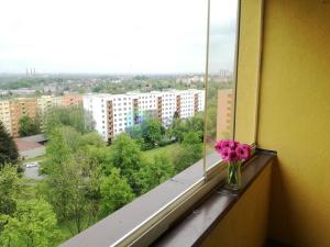 Pronájem bytu 2+1, Ostrava, Jasmínová, 59 m2