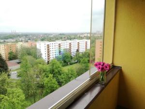 Pronájem bytu 2+1, Ostrava, Jasmínová, 59 m2