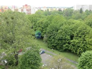 Pronájem bytu 2+1, Ostrava, Jasmínová, 59 m2