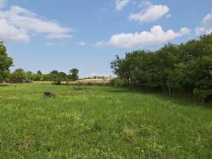 Prodej pozemku pro bydlení, Dymokury, 1000 m2