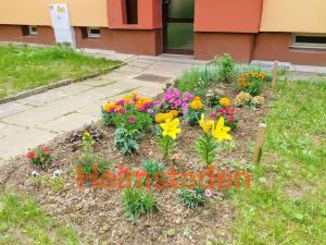 Pronájem bytu 1+kk, Havířov - Šumbark, Dukelská, 29 m2