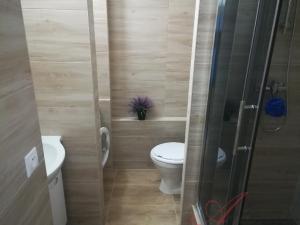 Pronájem bytu 1+1, Ostrava - Moravská Ostrava, Varenská, 40 m2