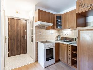 Prodej bytu 1+kk, Zvěstov - Roudný, 25 m2