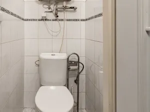 Prodej bytu 1+kk, Zvěstov - Roudný, 25 m2
