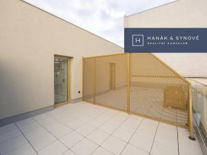 Pronájem bytu 1+kk, Brno, Cejl, 29 m2