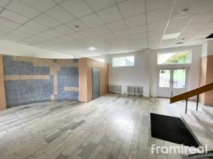 Pronájem bytu 1+kk, Brno, Jedovnická, 20 m2