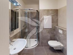 Pronájem bytu 2+kk, Plzeň, Vrchlického, 52 m2