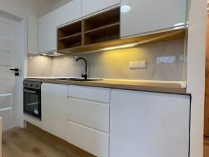 Prodej bytu 2+kk, Bílina, Litoměřická, 41 m2