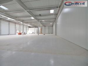 Pronájem výrobních prostor, Brandýs nad Labem-Stará Boleslav - Brandýs nad Labem, Pražská, 1800 m2