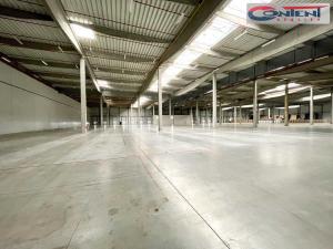 Pronájem výrobních prostor, Velká Bíteš - Košíkov, 32900 m2