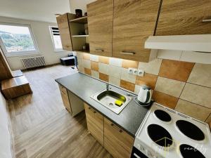 Pronájem bytu 2+kk, Teplice - Trnovany, Arbesova, 47 m2