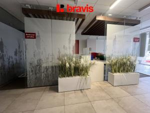 Pronájem obchodního prostoru, Brno - Bystrc, náměstí 28. dubna, 119 m2