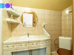 Prodej vícegeneračního domu, Červenka, Třebízského, 442 m2