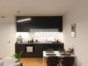 Pronájem bytu 1+kk, Praha, Vrátnická, 41 m2