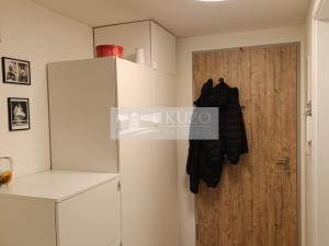 Pronájem bytu 1+kk, Praha, Vrátnická, 41 m2