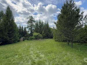 Prodej pozemku pro bydlení, Krásná Lípa - Sněžná, 1531 m2