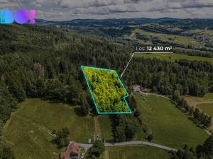 Prodej lesa, Písek, 12430 m2