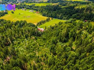 Prodej lesa, Písek, 12430 m2