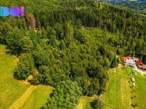 Prodej lesa, Písek, 12430 m2