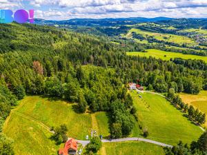 Prodej lesa, Písek, 12430 m2