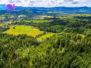 Prodej lesa, Písek, 12430 m2
