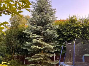 Prodej vily, Statenice, 200 m2