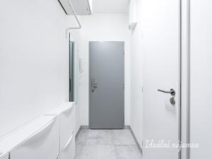 Pronájem bytu 1+kk, Praha - Kyje, Za černým mostem, 24 m2