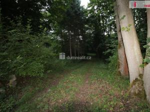 Prodej chaty, Merklín - Oldřiš, 120 m2