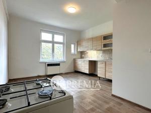 Pronájem bytu 2+kk, Teplice, Litoměřická, 46 m2