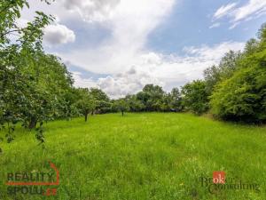 Prodej pozemku pro bydlení, Ostřešany, 3106 m2