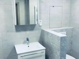 Pronájem bytu 2+1, Lovosice, Husova, 63 m2