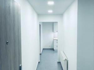 Pronájem bytu 2+1, Lovosice, Husova, 63 m2