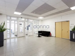 Pronájem kanceláře, Praha, Jana Růžičky, 42 m2