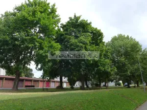 Pronájem bytu 2+1, Stod, Sokolská, 62 m2