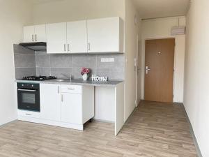 Pronájem bytu 1+1, Litvínov, Čapkova, 38 m2