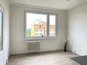 Pronájem bytu 1+1, Litvínov, Čapkova, 38 m2