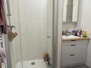 Pronájem bytu 3+kk, Sušice - Sušice I, Americké armády, 75 m2