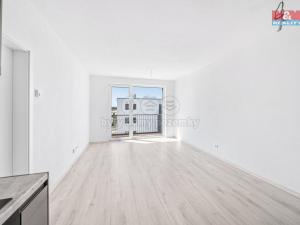 Pronájem bytu 2+kk, Plzeň - Litice, 42 m2