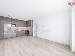 Pronájem bytu 2+kk, Plzeň - Litice, 42 m2