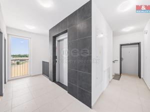 Pronájem bytu 2+kk, Plzeň - Litice, 42 m2