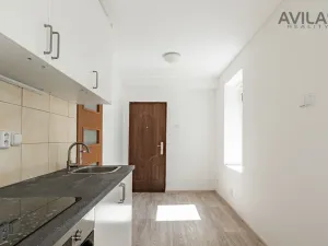 Prodej bytu 1+kk, Zvěstov - Roudný, 27 m2
