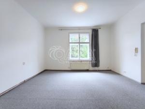 Pronájem bytu 2+kk, Praha - Vinohrady, Květná, 45 m2